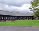 Homepage Gallery Image